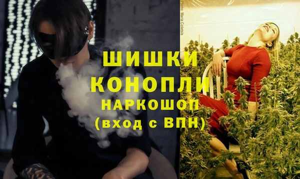МДПВ Волоколамск