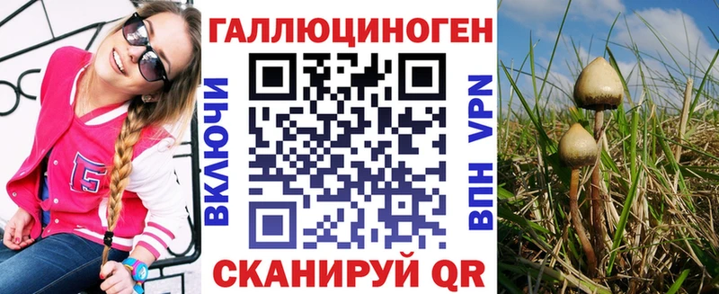 где найти   Курск  дарк нет какой сайт  Галлюциногенные грибы мухоморы 